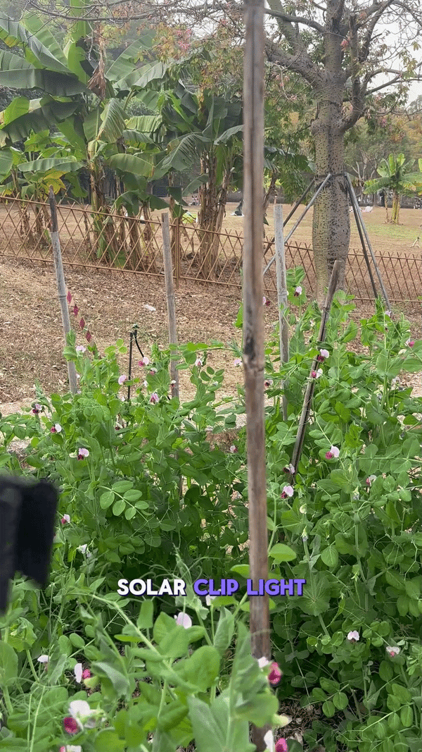 Lămpi Solare Portabile cu Clip